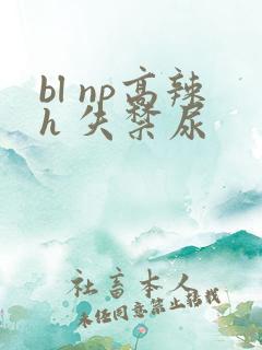 bl np高辣h 失禁尿