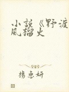 小说《野渡》春风榴火