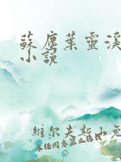 苏尘叶灵溪系统小说