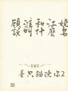 顾淮和江娆的小说叫什么名字