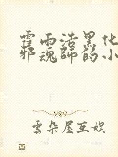 霍雨浩黑化成了邪魂师的小说