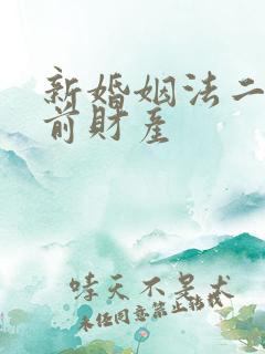 新婚姻法二婚婚前财产