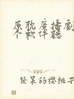 原耽广播剧在哪个软件听