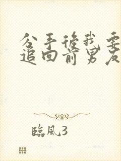 分手后我要重新追回前男友