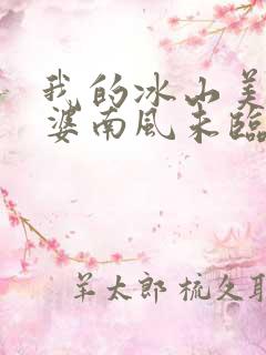 我的冰山美女老婆南风未临的小说