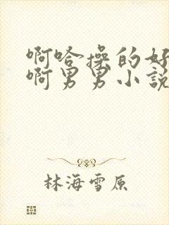 啊哈操的好舒服啊男男小说