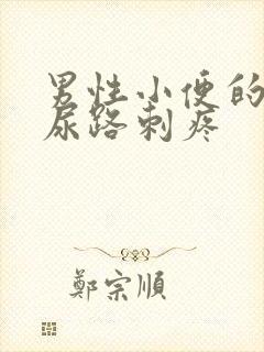 男性小便的时候尿路刺疼