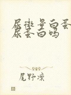 尿微量白蛋白是尿蛋白吗