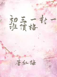 初三一对一辅导班价格