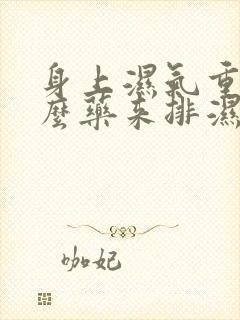 身上湿气重吃什么药来排湿快