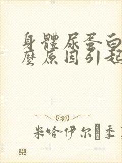 身体尿蛋白是什么原因引起的