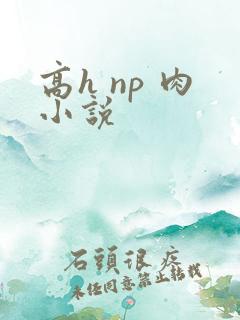 高h np 肉小说