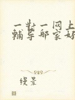 一对一网上英语辅导哪家好