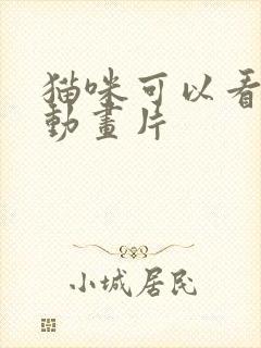 猫咪可以看懂的动画片