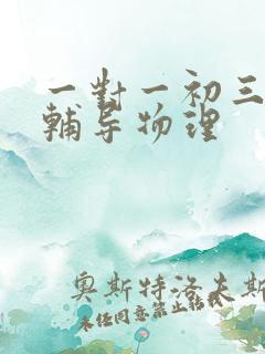 一对一初三网课辅导物理