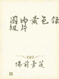 国内黄色录像一级片