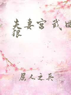 夫妻宫 武曲贪狼