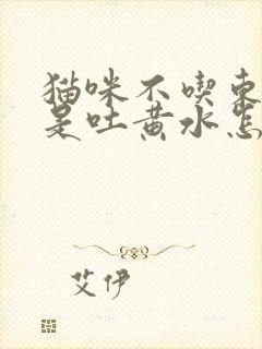 猫咪不吃东西老是吐黄水怎么办