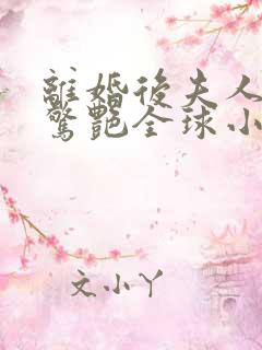 离婚后夫人携崽惊艳全球小说免费下载完整版