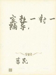 家教一对一上门辅导,