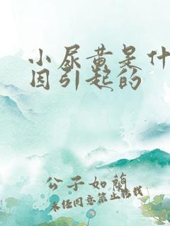 小尿黄是什么原因引起的