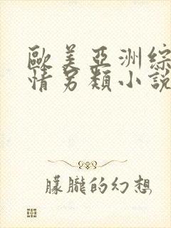 欧美亚洲综合激情另类小说