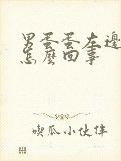 男蛋蛋左边疼是怎么回事