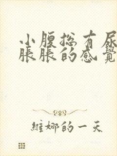 小腹总有尿意,胀胀的感觉