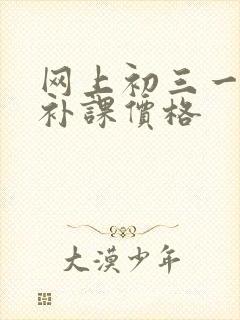 网上初三一对一补课价格