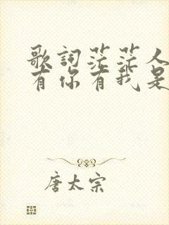 歌词茫茫人海中有你有我是叫什么歌