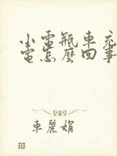 小电瓶车充不上电怎么回事