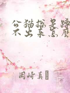 公猫总是蹲着尿不出来怎么办