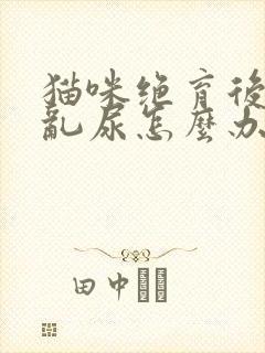 猫咪绝育后还是乱尿怎么办