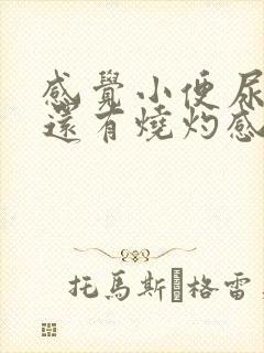 感觉小便尿不尽还有烧灼感