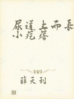 尿道上面长了个小疙瘩