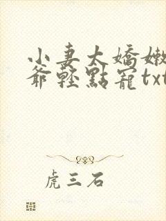 小妻太娇嫩,枭爷轻点宠txt免费下载