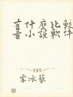 有什么比较好的看小说软件