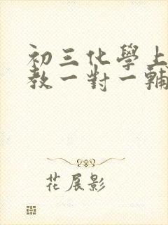 初三化学上门家教一对一辅导