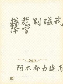 总裁别碰我 韩降雪