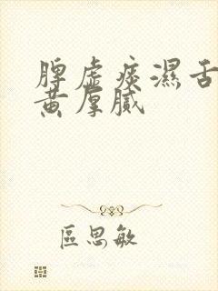 脾虚痰湿舌苔发黄厚腻