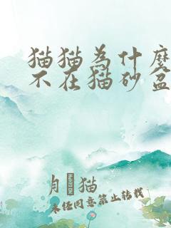 猫猫为什么突然不在猫砂盆拉屎拉尿了