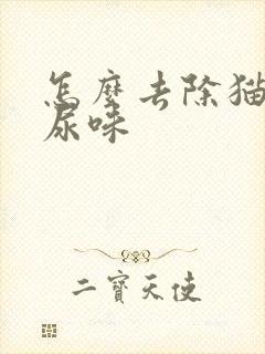 怎么去除猫猫的尿味