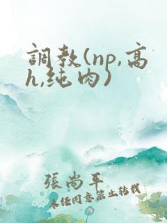 调教(np,高h,纯肉)