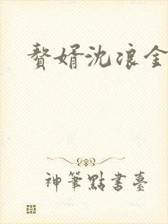 赘婿沈浪金木兰