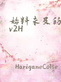 始料未及的软1v2H