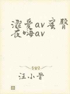 涩爱av蜜臀夜夜嗨av