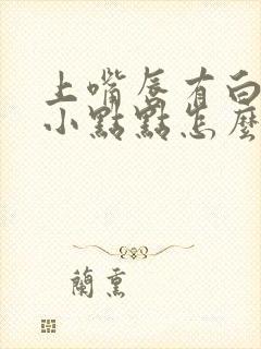 上嘴唇有白色的小点点怎么回事