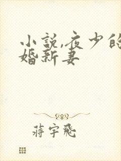 小说,夜少的二婚新妻