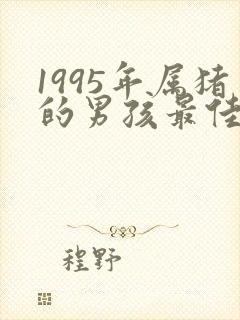 1995年属猪的男孩最佳配偶