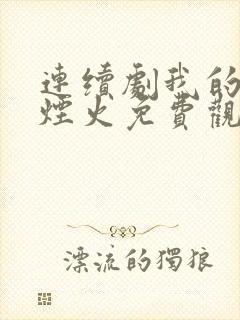 连续剧我的人间烟火免费观看